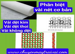 vai-det-thoi-vai-det-kim-vai-khong-det-tai-sao-co-nhung-cai-ten-goi-nhu-the-chung-ta-cung-tim-hieu